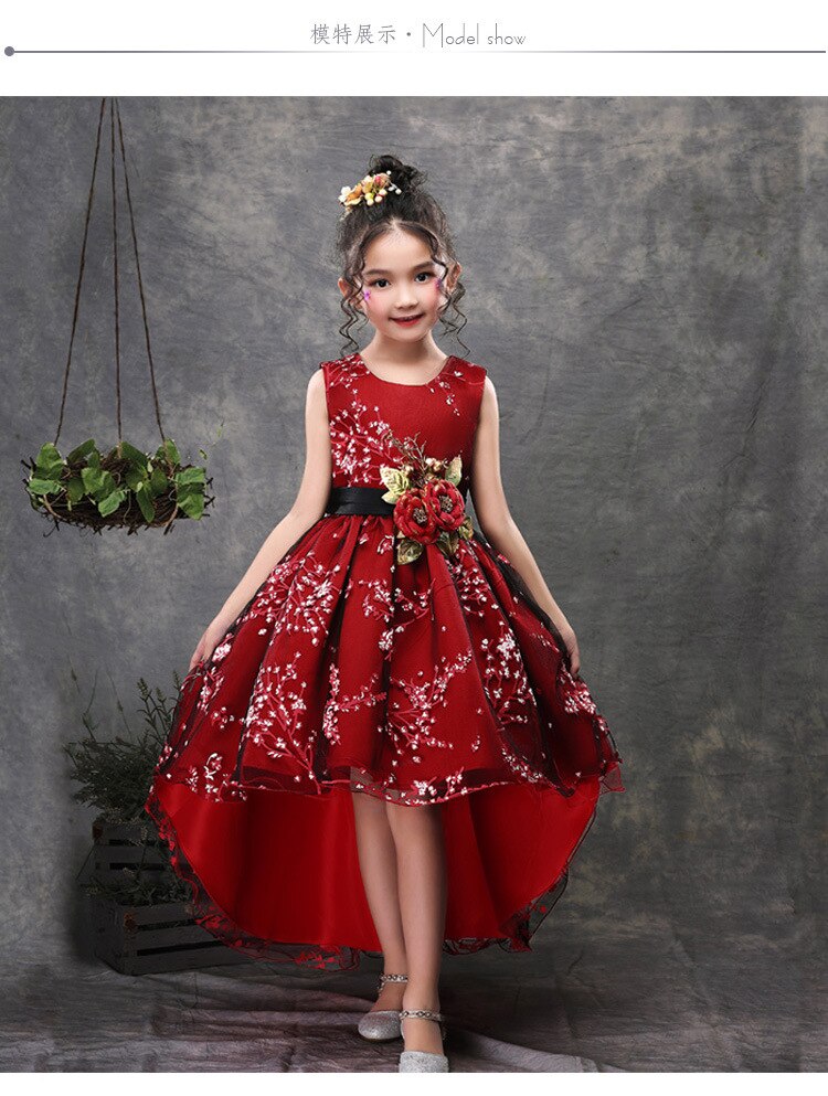 Christmas Dress For Girls Costume Children Evening Party Dress Kids Dresses For Girls Princess Dress Flower Girls Wedding Dress