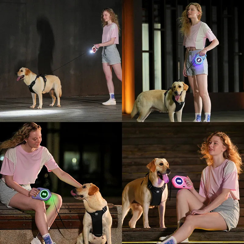 5M Automatic Retractable Dog Leash LED Luminous Leading Light Straps For Small Medium Dog Pet Flexi Walking Running Leashes