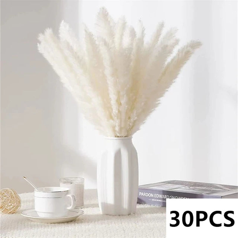 Natural Pampas Grass Bouquet Dried Flowers Autumn Home Room Decoration DIY Christmas Gift Artificial Flowers Wedding Arrangement