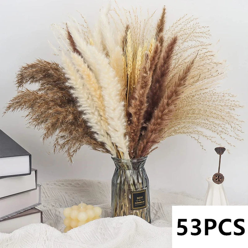 Natural Pampas Grass Bouquet Dried Flowers Autumn Home Room Decoration DIY Christmas Gift Artificial Flowers Wedding Arrangement