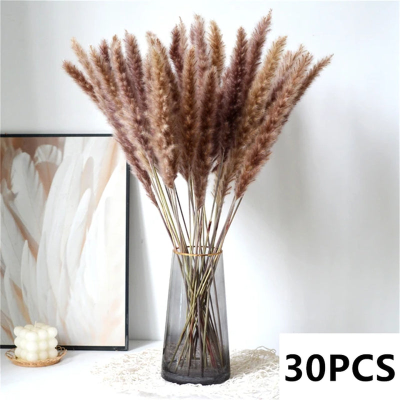 Natural Pampas Grass Bouquet Dried Flowers Autumn Home Room Decoration DIY Christmas Gift Artificial Flowers Wedding Arrangement